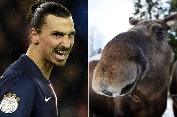 Zlatan